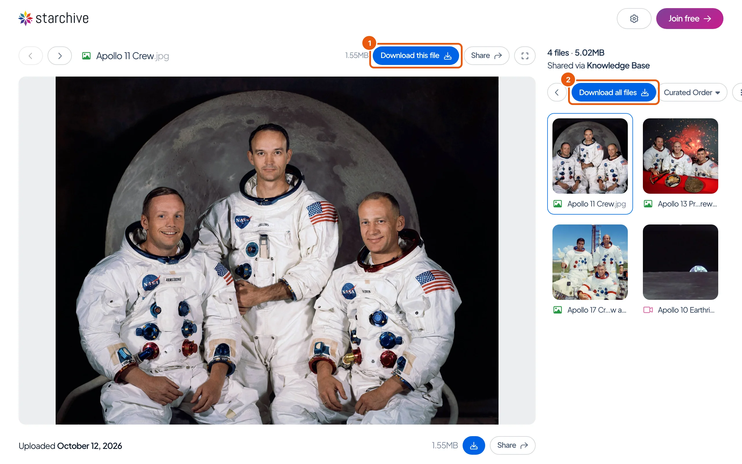 The share link's two download buttons: Download this file above the photograph, and Download all files above the tiles.