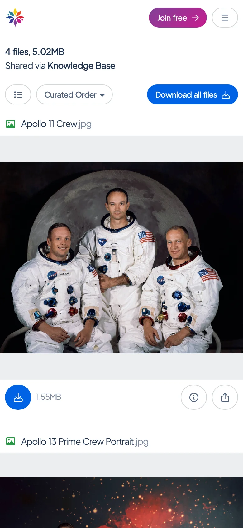 The same link on a phone, 390 pixels wide: one column, each file under its name with its own buttons, and Curated Order and Download all files at the top.