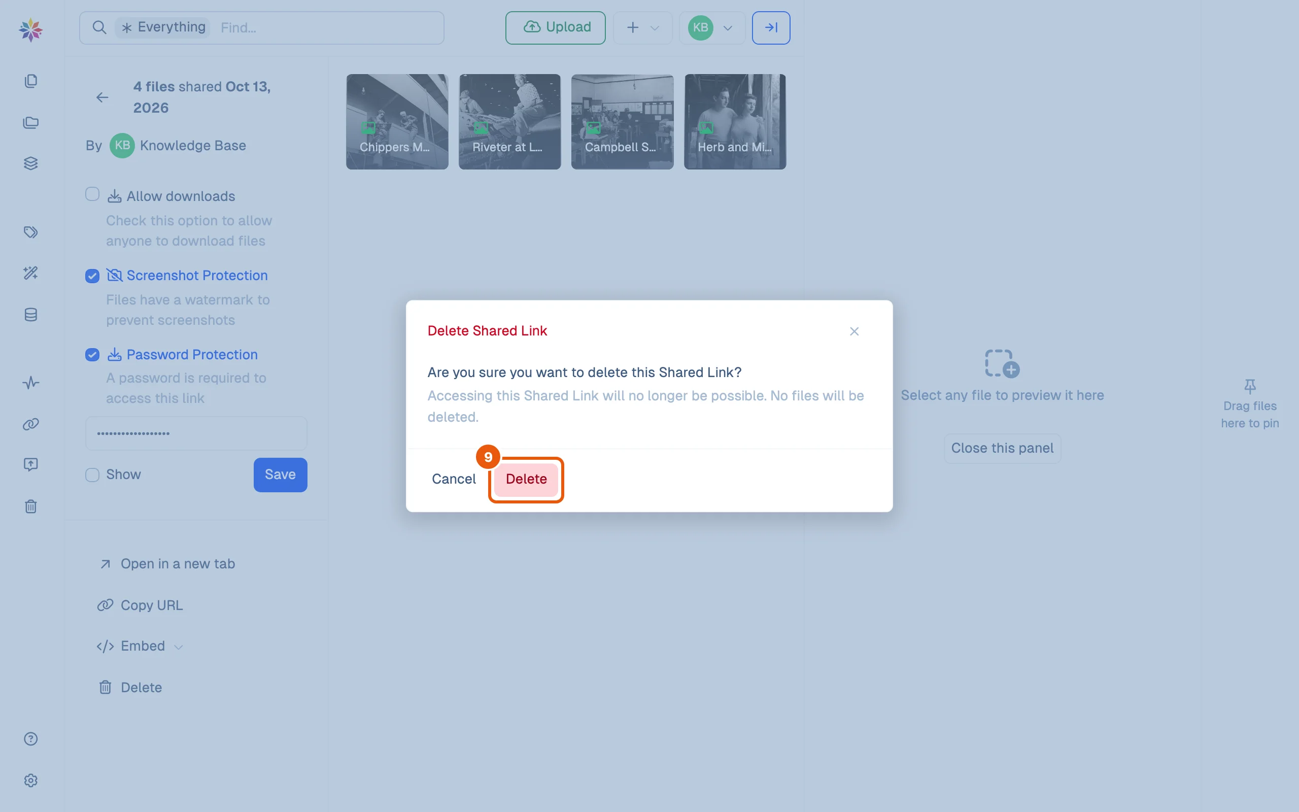 The Delete Shared Link dialog: are you sure you want to delete this Shared Link? Accessing it will no longer be possible; no files will be deleted. Cancel or Delete.